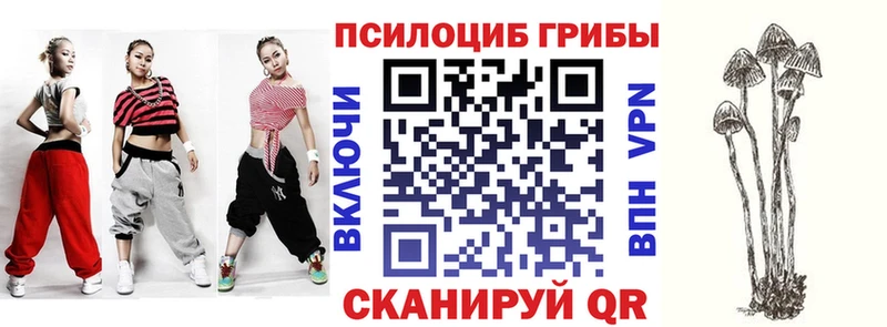 МЕГА вход  Брянск  Галлюциногенные грибы Cubensis 
