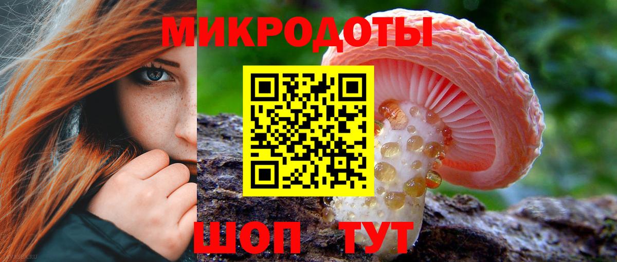 Псилоцибиновые грибы Psilocybe Брянск
