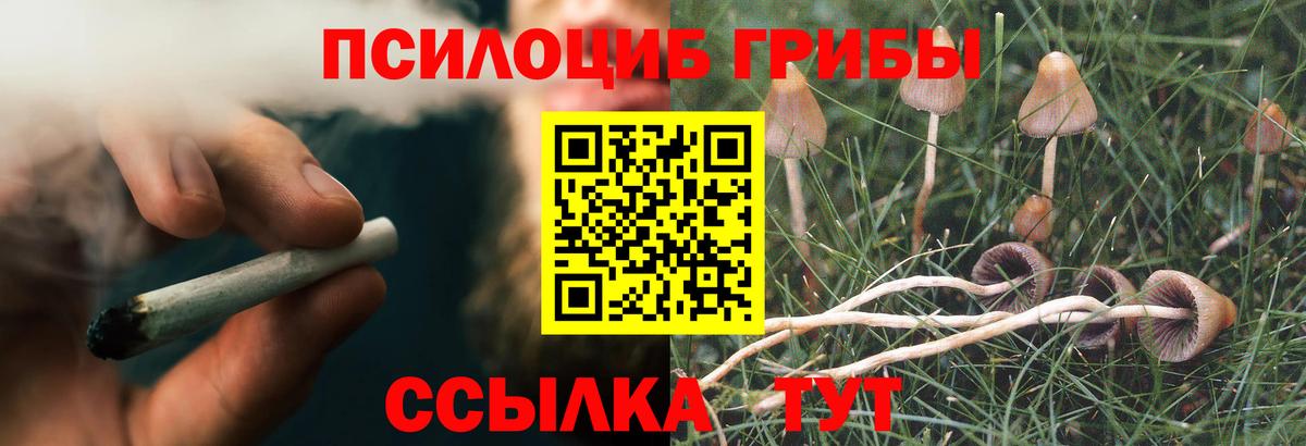Псилоцибиновые грибы ЛСД  Вход с VPN  Брянск 