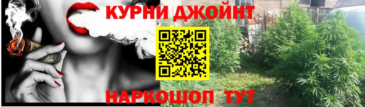 Бошки Шишки план  Брянск  Канабис OG Kush  Бошки Шишки марихуана  Шишки марихуана семена 